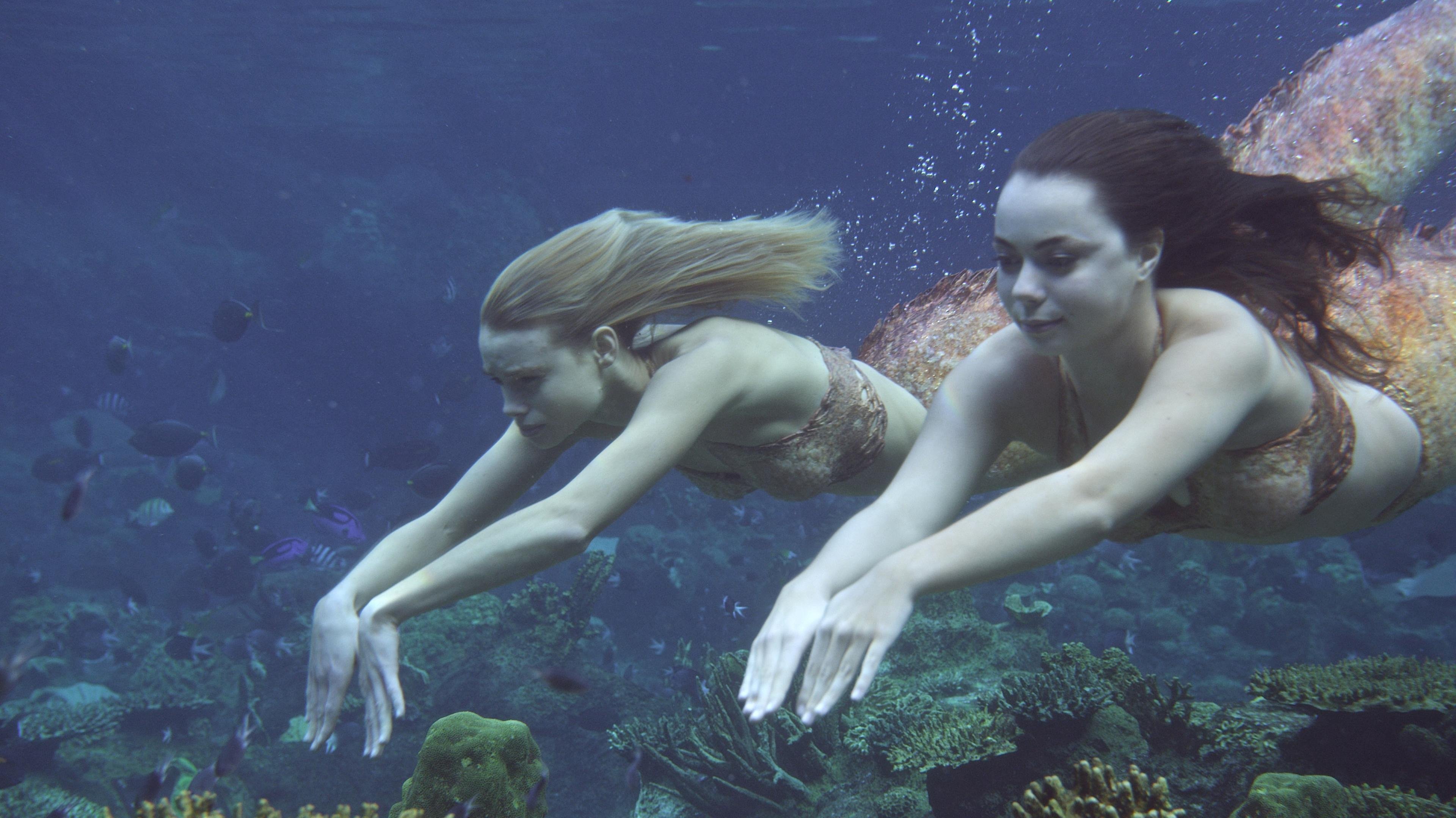 Mako Mermaids 75 Photo