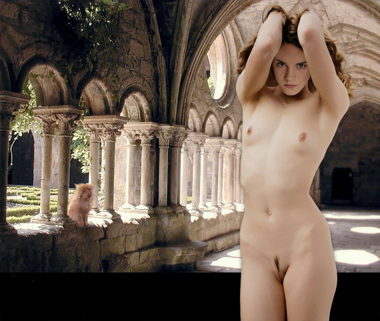 1278px x 1080px - Emma watson hermione granger naked - 58 photo