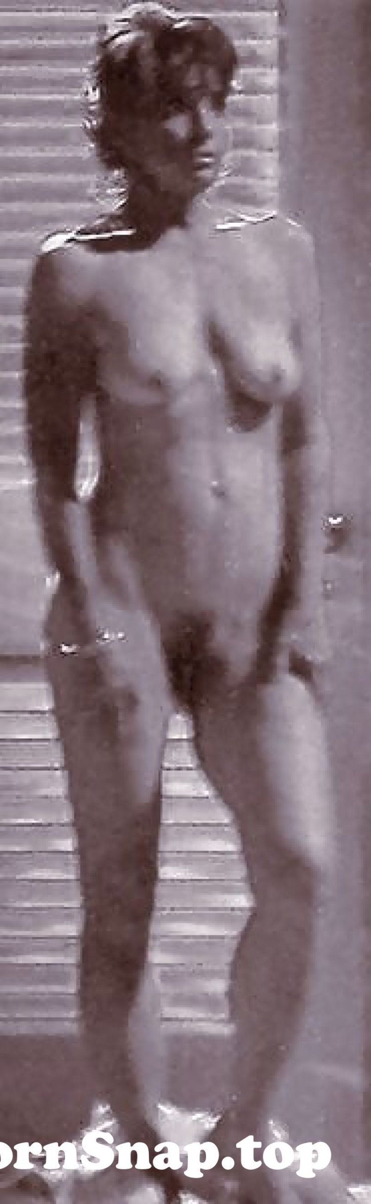 Linda grey nude - 62 photo